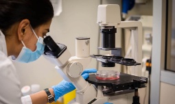 cro-ricerca-laboratorio