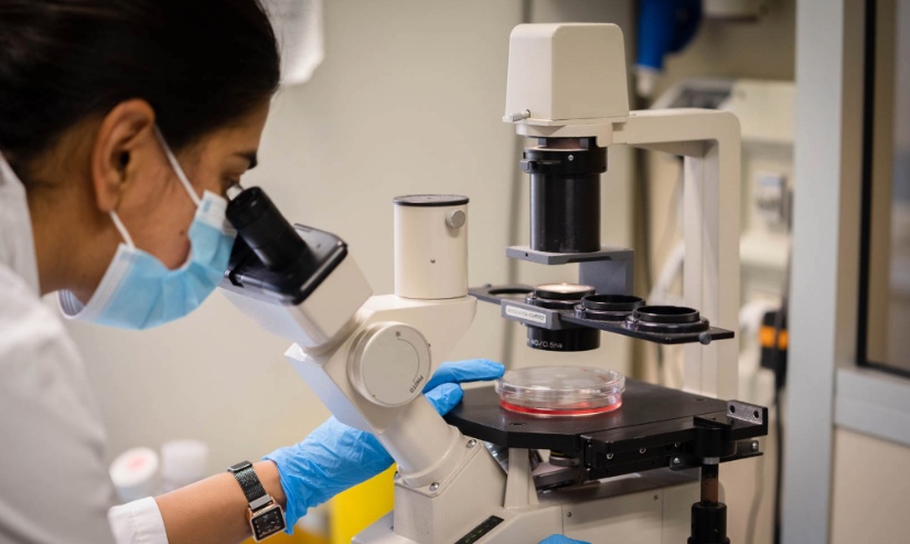 cro-ricerca-laboratorio