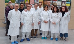 gruppo lavoro UFA 24