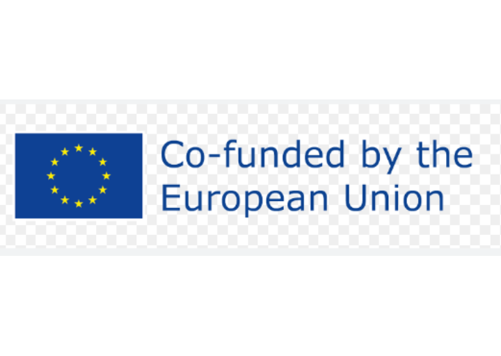 Co-funded by EU