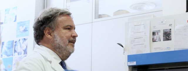 Spina_CRO avanguardia